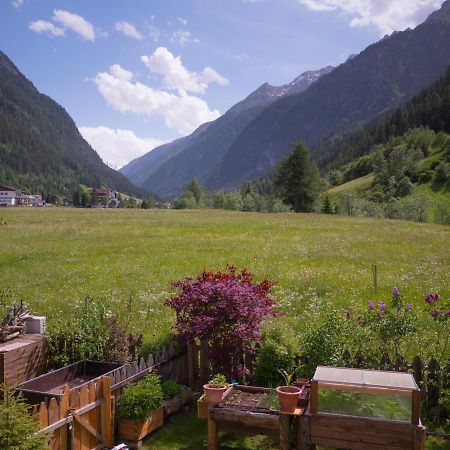 Haus Am Rechten Fleck カウナータール エクステリア 写真
