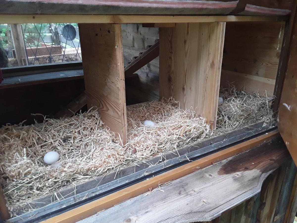 Haus Am Rechten Fleck カウナータール エクステリア 写真