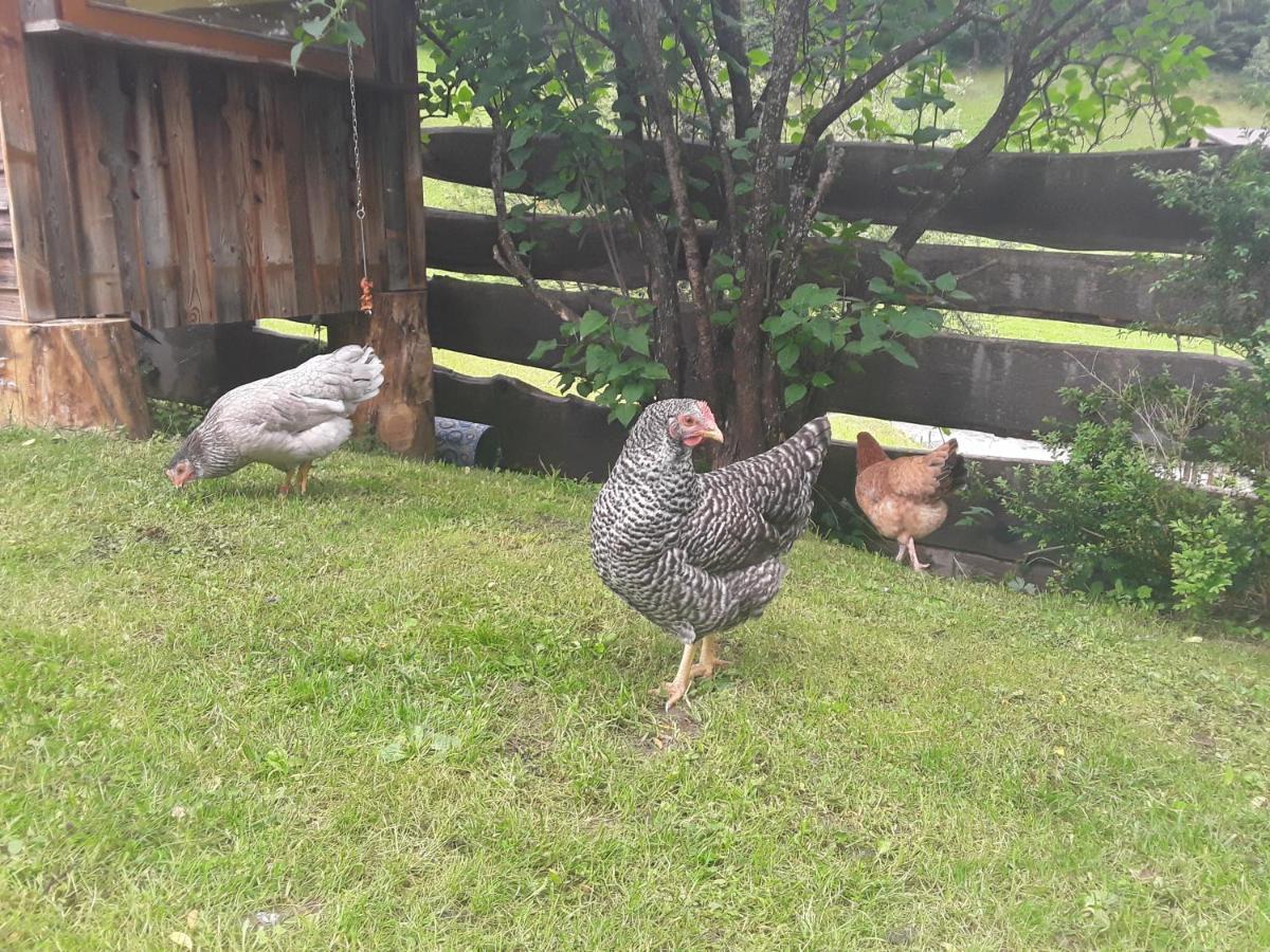 Haus Am Rechten Fleck カウナータール エクステリア 写真